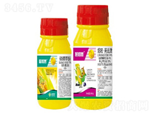 ����޲-���՘�