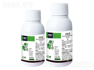 400��/����ù���Ҹ���-������-���՘�