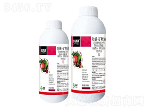 40%�}�����V��������-�s��M-���՘�(l��)