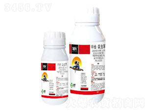 11.6%�׾S�����x���Ҹ���-�̱�-���՘�