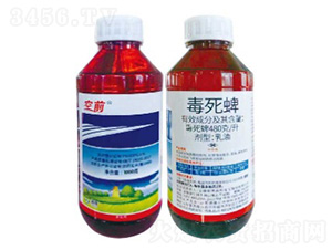 480��/������������-��ǰ-���՘�