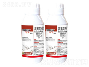 5%�����������-�w�ػ�-���՘�