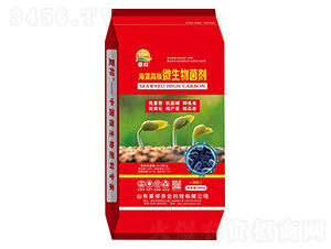 �����̼΢�������-�İ��r�I(y��)