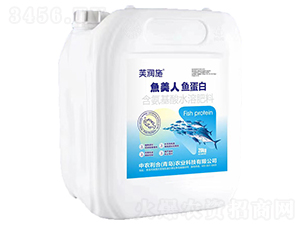 �~�����~����-ܽ��ʩ-���r����