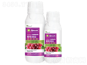 ������@-�����|�r(n��ng)