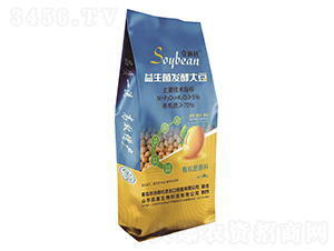 �������l(f��)�ʹ�-Ҽ�O��-�A������