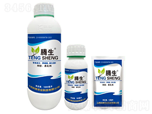 ����֬���S����E-�v��-�õ���