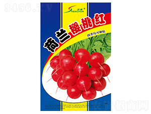 ���m���Ҽt-�}���N��-�S�A�N�I(y��)