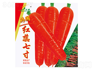 �n���t���ߴ�-�}���N��-�S�A�N�I(y��)