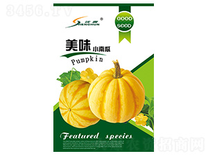 ��ζС�Ϲ�-�ϹϷN��-�S�A�N�I(y��)