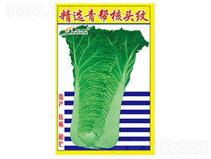 ���x���ͺ��^�y-�ײ˷N��-�S�A�N�I(y��)