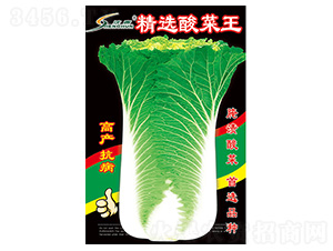 ���x�����-�ײ˷N��-�S�A�N�I(y��)