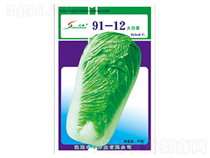 91-12��ײ�-�ײ˷N��-�S�A�N�I(y��)