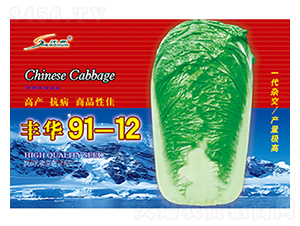 �S�A91-12-�ײ˷N��-�S�A�N�I(y��)