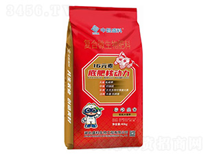 ��(f��)��΢�������-�в�ʢ��-ʢ������