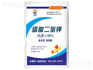 �������⛡�20g��-�W�ʩ