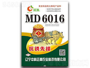 MD6016（抗銹先鋒）-玉米種子-中科正高