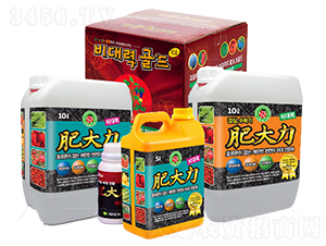 �ʴ���-�۸���