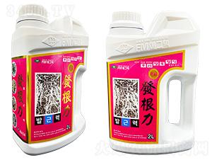 �l(f��)����-��(��i)����