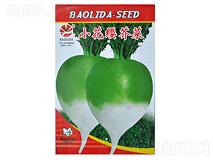 С���t���-��˷N��