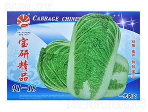 ���о�Ʒ91-18��һ���s����-��˷N��