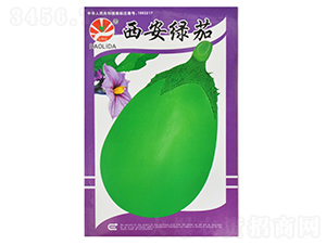 �����G��-���ӷN��