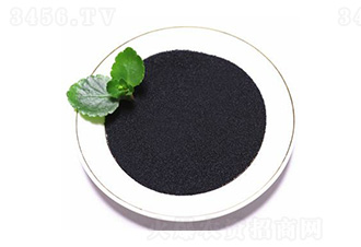 �S����⛢���-���B��