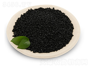 ��ֲ���-���B��