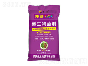 ��ɫ���b΢�������-ïʢ365-ïʢ����