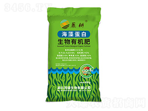 ���嵰�������ЙC(j��)��-ïʢ����