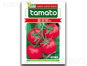 �Č���F1-���ѷN��-����