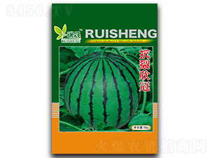 ��������-���ϷN��-����