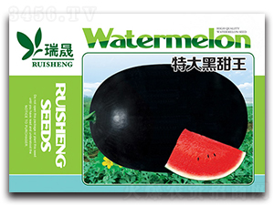 �ش������-���ϷN��-����