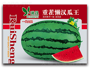 �ز�Нh����-���ϷN��-����