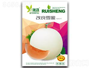 ����ѩ��-����