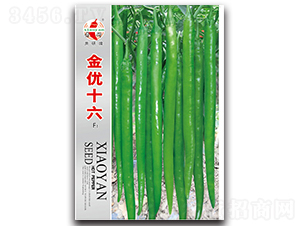 ����(y��u)ʮ��-�����N��-ʒ�зN�I(y��)