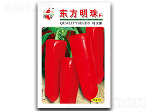 �|������-�ݽ��N��-ʒ�зN�I(y��)