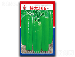 �ش�306-�ݽ��N��-ʒ�зN�I(y��)