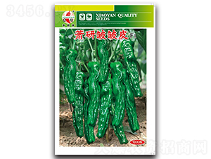 ʒ�а���Ƥ-�ݽ��N��-ʒ�зN�I(y��)