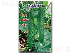 ����-�S�ϷN��-�V��