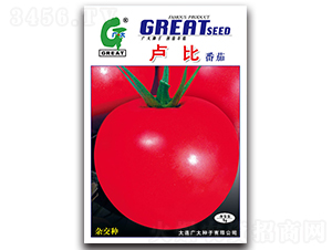 �R��-���ѷN��-�V��