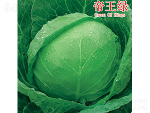 帝王綠-甘藍(lán)種子-金品農(nóng)業(yè)