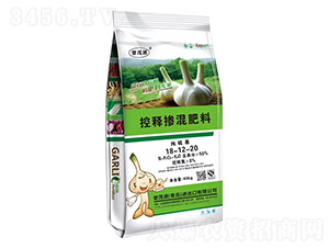 ��ጓ������18-12-20-�uïԴ