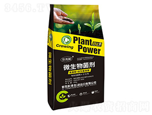 ΢�������-�u(y��)ïԴ