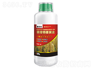 ��������ˮ�ܷ���500ml-�Է������S��-�Է���-�G֮Դ