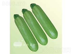 ����(j��)����108F1���ͺ��߮a(ch��n)�;G�������J��-�����J�N��-�֠���˹