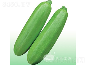 ����(j��)����208F1���߮a(ch��n)��G���������J��-�����J�N��-�֠���˹