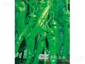 ����(j��)������F1���߮a(ch��n)�����������-�����N��-�֠���˹