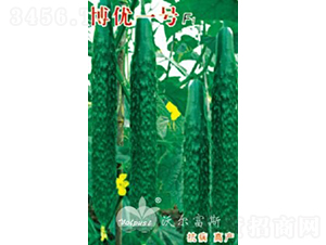 ����(y��u)һ̖(h��o)F1���߮a(ch��n)�����ġ����S�ϣ�-�S�ϷN��-�֠���˹