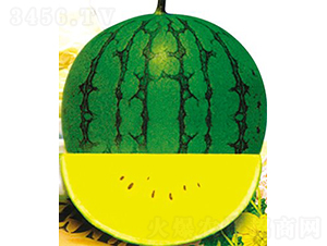 ���mF1���S��YƷС���ϣ�-���ϷN��-�֠���˹